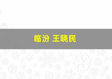 临汾 王晓民